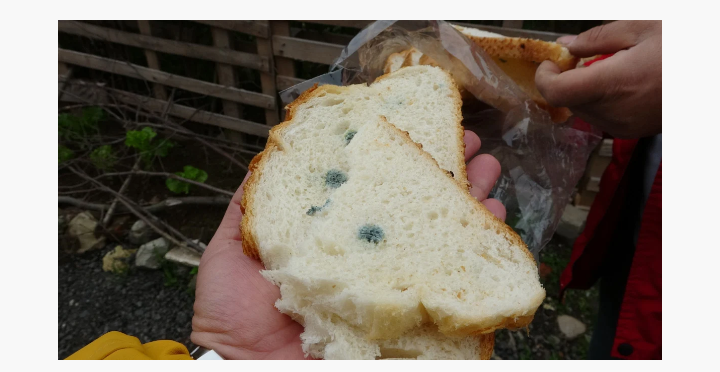 Şanlıurfa Dikkat! Market’den Aldığı Ekmek Küflü Çıktı!