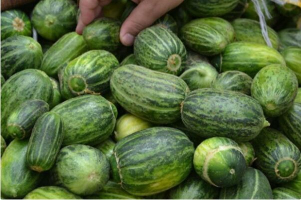 Viranşehir’in Lezzet Mirası Şelengo Tezgahlarda