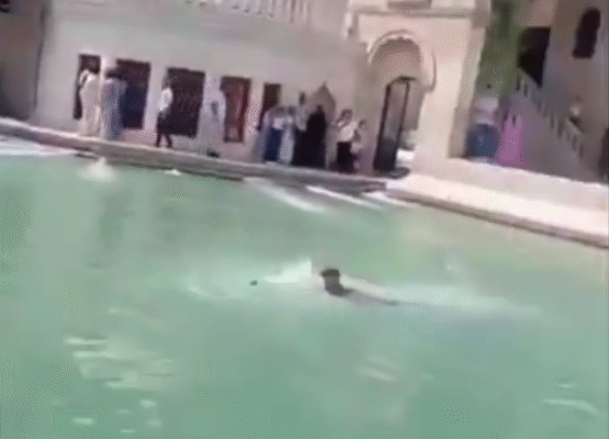 Şanlıurfa ‘da Skandal görüntüler