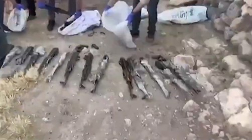Urfa Jandarmasından operasyon!