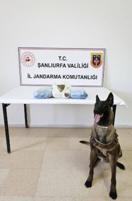 Urfa’da Zehir Tacirlerine Darbe: 6 Kilo Uyuşturucu Ele Geçirildi