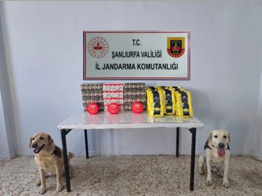Urfa’da 3 bin paket kaçak sigara ele geçirildi