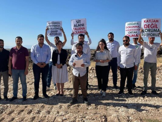 Urfa’da Fıstık ve Zeytin Ağaçlarının Kesilmesine Tepkiler Sürüyor!