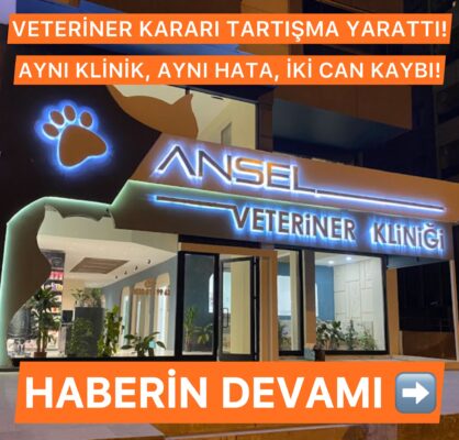 Şanlıurfa’da Ansel Veteriner Kliniği Hakkında Şok İddia: İki Kedi, Aynı Klinik, Aynı Son!