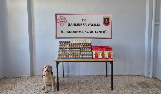 Şanlıurfa’nın İki İlçesinde Kaçak Tütün ve Alkol Operasyonu