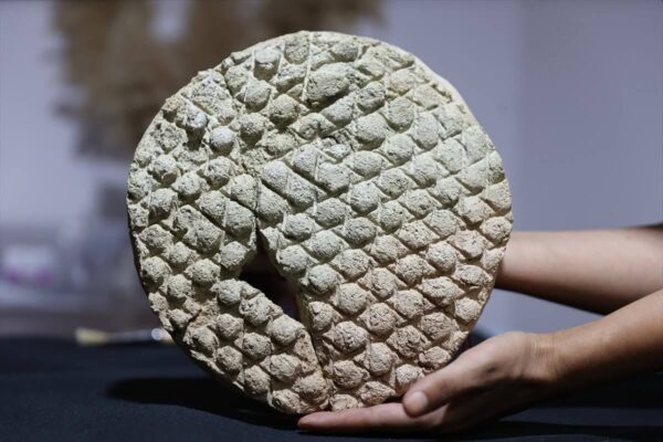 Şanlıurfa’da Tarih Fışkırıyor: Harran’da Tarihi Ekmek Kalıbı Bulundu