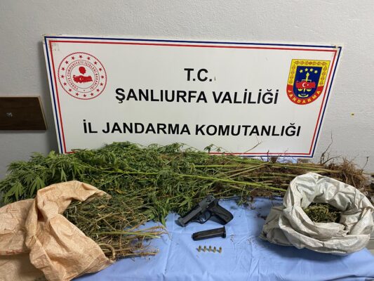 Şanlıurfa’da 6 İlçede Narkotik Operasyonu: 8 Gözaltı