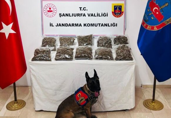 Şanlıurfa’daki uyuşturucu operasyonu: 6 tutuklama