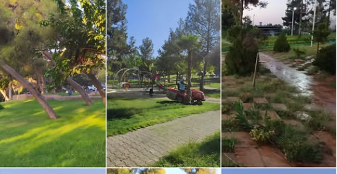 Eyyübiye Belediyesi’nden Parklara Yeşil Dokunuş!