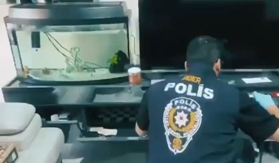 Siber Suçlarla Mücadelede 5 günde 170 şüpheli yakalandı