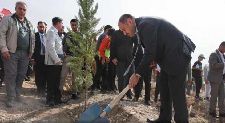 Gülpınar, ‘Milli Ağaçlandırma Günü’nde fidan dikti (VİDEO)