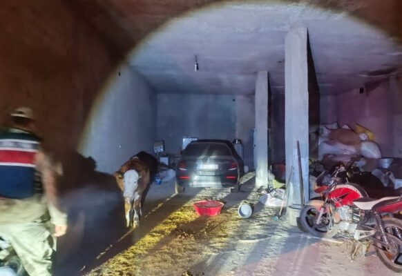 Şanlıurfa’da araba hırsızlarını jandarma yakaladı